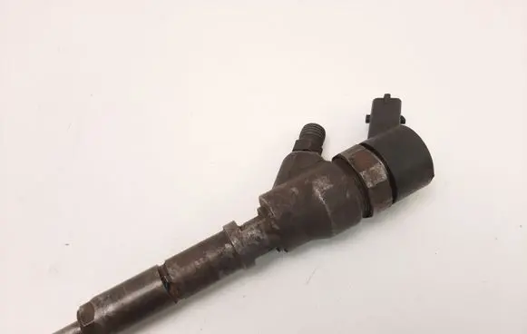 Citroen C5 Fuel injector 9635196580 0445110008