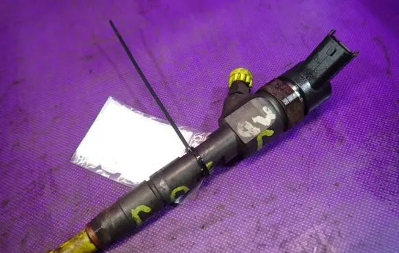 Renault Scenic II - Grand scenic II Fuel injector 0445110110B