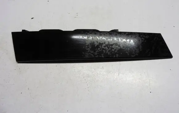 Front door trim (molding)