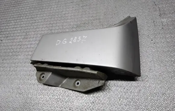 Rear/tail light trim molding