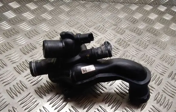 Thermostat/thermostat housing