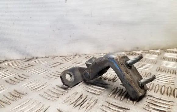 Suzuki Grand Vitara II Rear door lower hinge