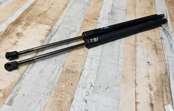 Tailgate/trunk strut/damper