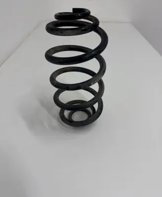 Rear coil spring