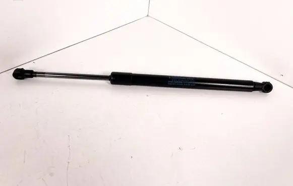 Tailgate/trunk strut/damper