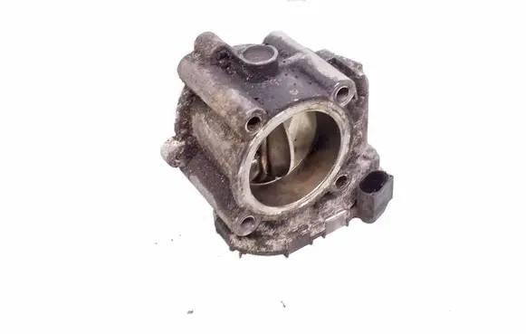 Mercedes-Benz CLS C219 Throttle valve A6420900270