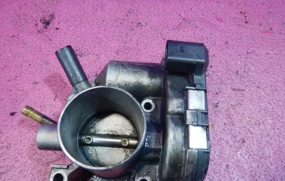 Throttle body valve