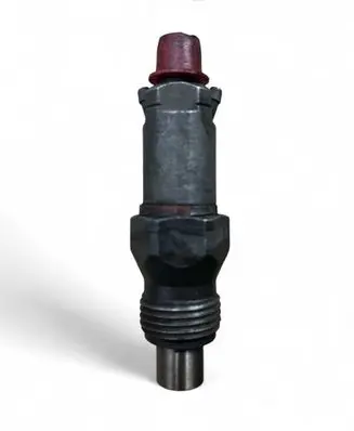 Peugeot 206 Fuel injector LCR6736001