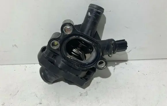 Thermostat/thermostat housing