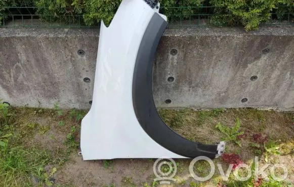 Hyundai Tucson TL Fender
