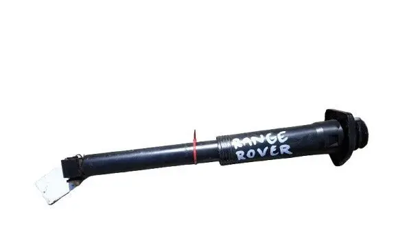Citroen C4 II Picasso Front shock absorber/damper