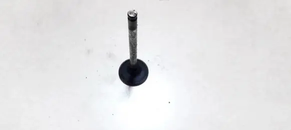 Opel Astra F Valve 