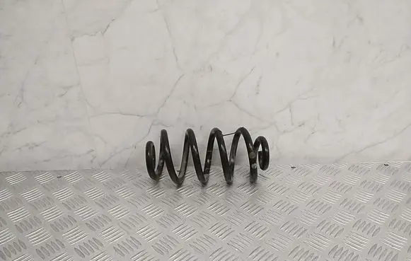 Rear coil spring
