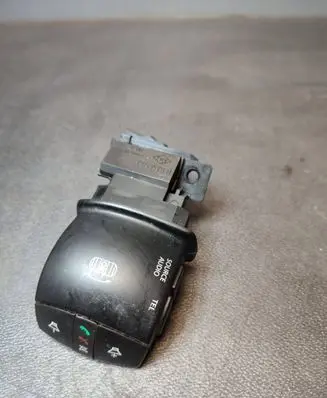 Multifunctional control switch/knob