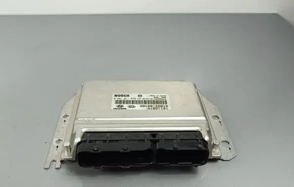 KIA Sorento Engine control unit/module 391004A810