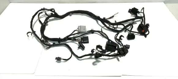 Engine installation wiring loom