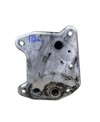 Mercedes-Benz C W203 Engine oil radiator A6111680301