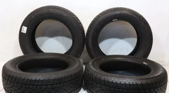 Renault Fluence R16 summer tire 4038526304223