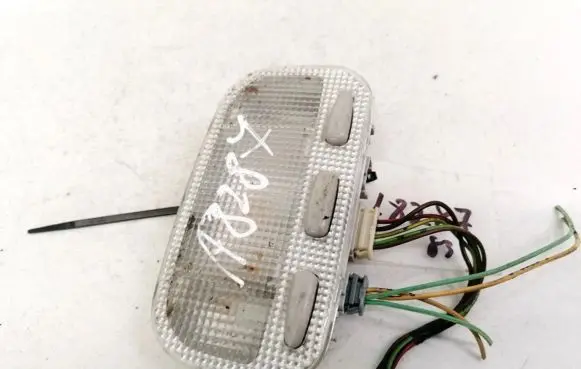 Citroen C5 Front seat light