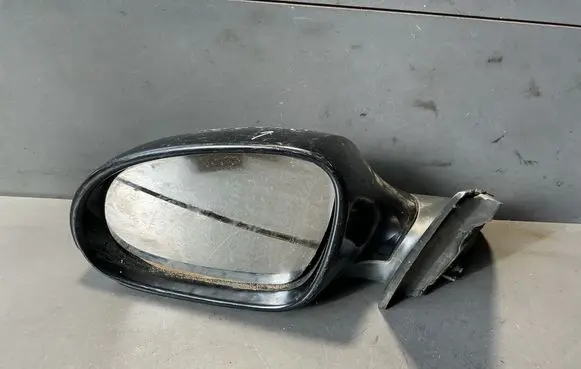 Volkswagen PASSAT B6 Front door electric wing mirror E1010781