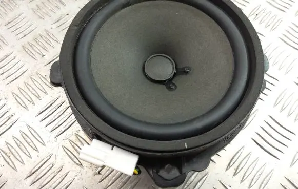 Chevrolet Captiva Front door speaker 25907869 C100A1 171S