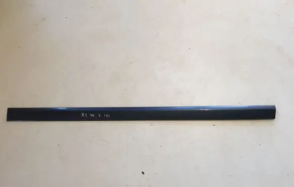 Front door trim (molding)