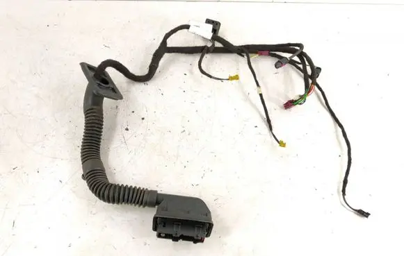 Mercedes-Benz S C217 Front door wiring loom 2175402807 A2175402807