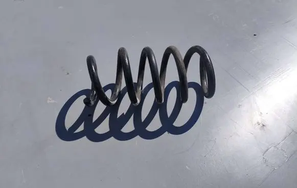Tesla Model Y Rear coil spring 118847600B