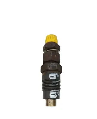 KIA K2500, K2700, K3000 Fuel injector
