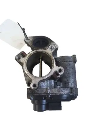 EGR valve