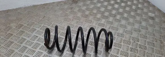 Rear coil spring