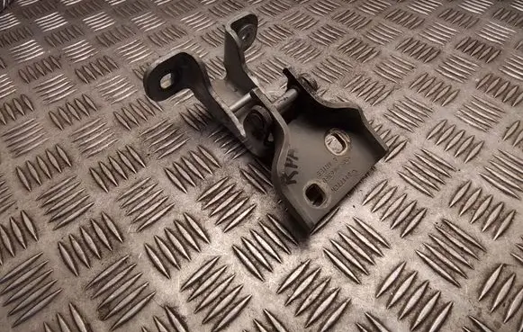 Opel Vivaro Front door lower hinge GM66380 311772M