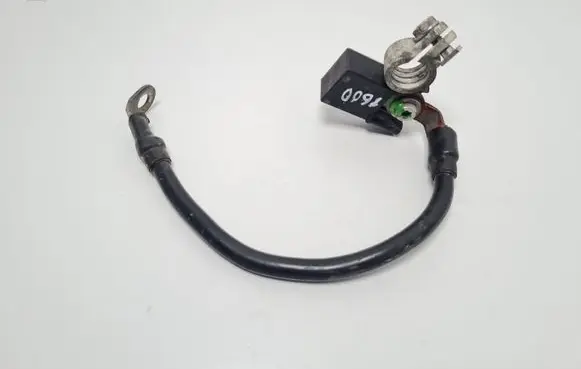 Mercedes-Benz E W212 Negative earth cable (battery) A1665420218