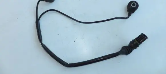 BMW X5 E70 Detonation knock sensor 0261231136 7568421