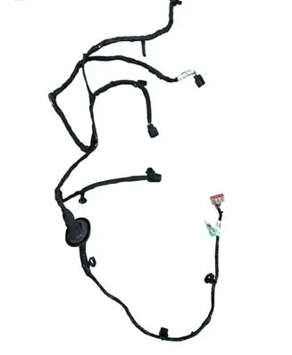 Other wiring loom