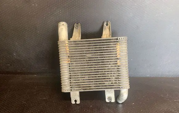 Hyundai Terracan Intercooler radiator 281904X70X