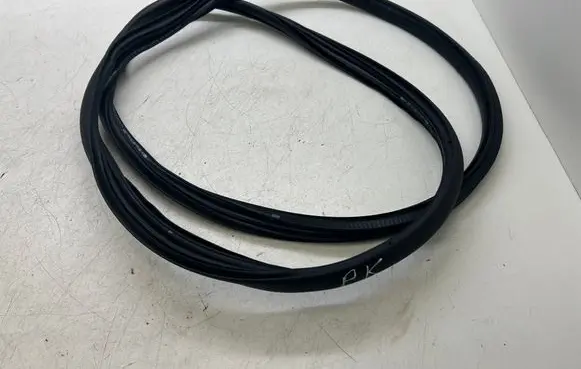 Citroen C3 Front door rubber seal 