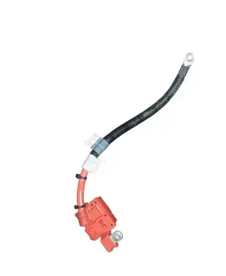 BMW X5 E70 Positive cable (battery) 9217004