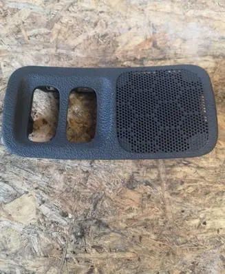 Panel speaker