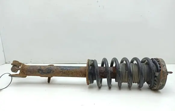 Chrysler 300 - 300C Front shock absorber with coil spring 814903570079 04895627AB
