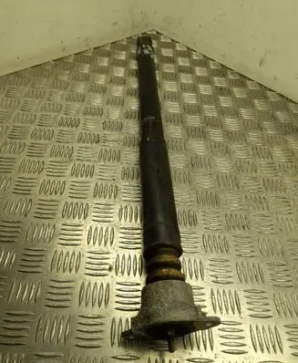 Ford Ecosport Rear shock absorber/damper FN1C18097AB