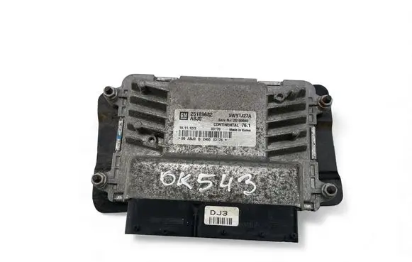 Engine control unit/module ECU
