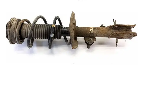 Nissan Juke I F15 Front shock absorber/damper