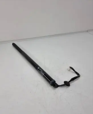 Nissan Ariya Tailgate/trunk strut/damper 905605MP1A