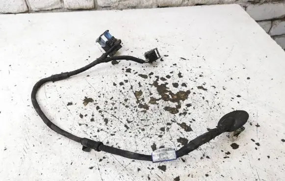 Renault Laguna III Other wiring loom 241510007R 00124152