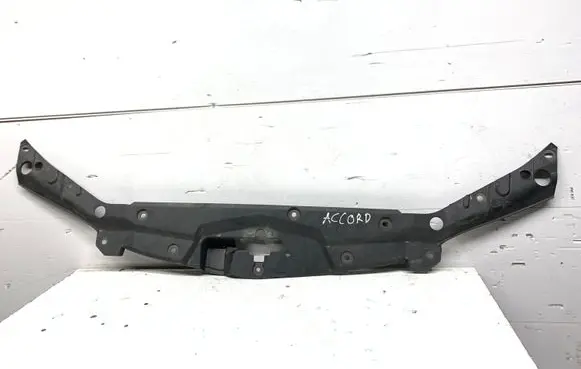 Engine bonnet/hood lock trim molding