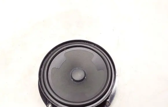 Volkswagen Tiguan Rear door speaker 5NA035453