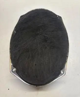 Chrysler Pacifica Front door speaker 05091019AB 45301S