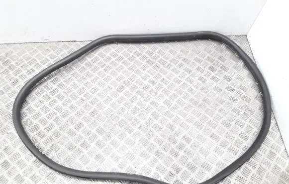 Citroen C3 Rear door rubber seal (on body) 9670311480