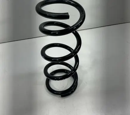 Nissan Murano Z52 Rear coil spring 550363JA0A